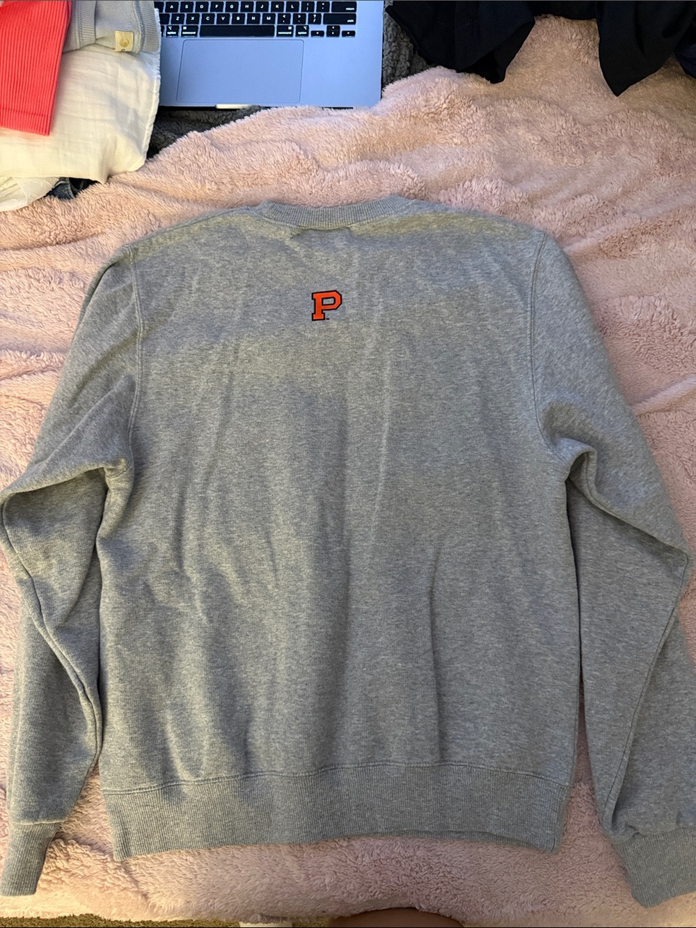 Champion Gray Princeton University Crewneck Sweatshirt with Orange Logo - Picture 2 of 2